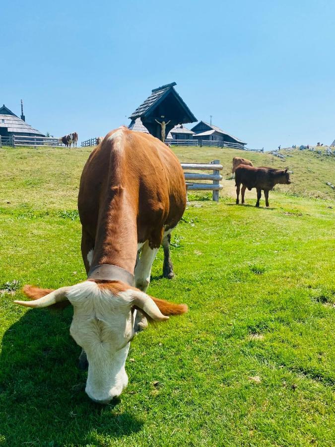 Вілла Velika Planina Koca Kekec Стаховиця Екстер'єр фото