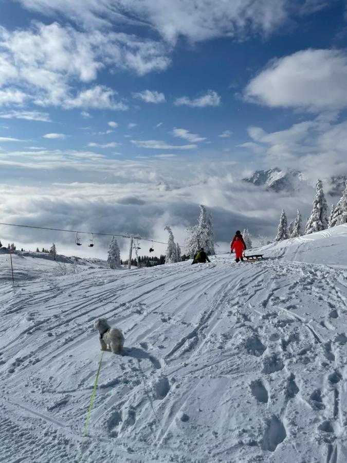 Вілла Velika Planina Koca Kekec Стаховиця Екстер'єр фото
